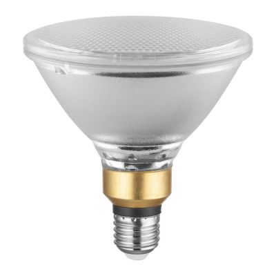 PAR 38 – LED